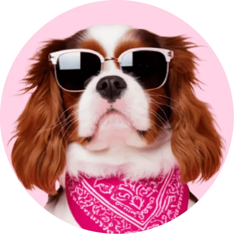 Perrita con gafas