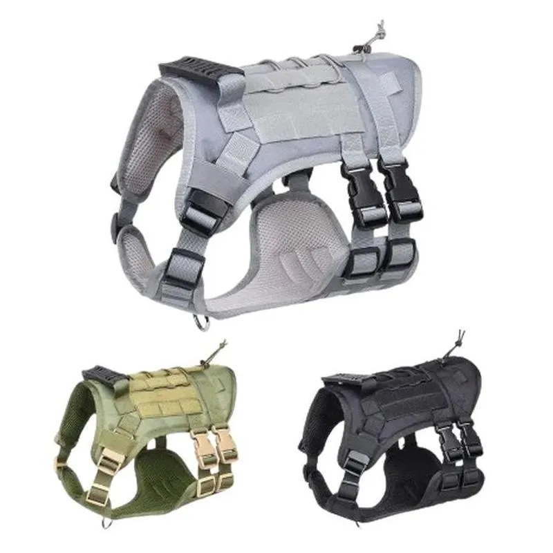 Pecheras de Perros (copia)
